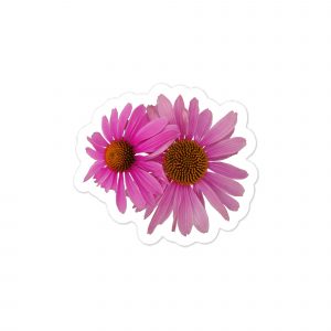 Pink Echinacea Kiss-cut vinyl decals